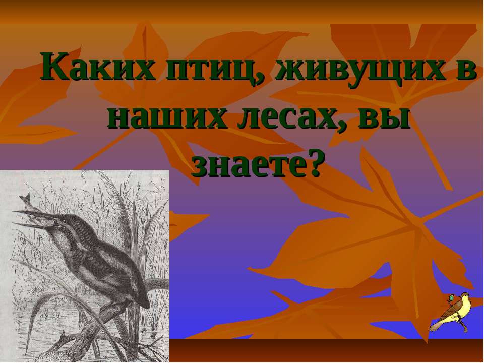 Каких птиц, живущих в наших лесах, вы знаете? - Скачать презентации бесплатно ☑ Презентации по предметам на gdz-books.ru