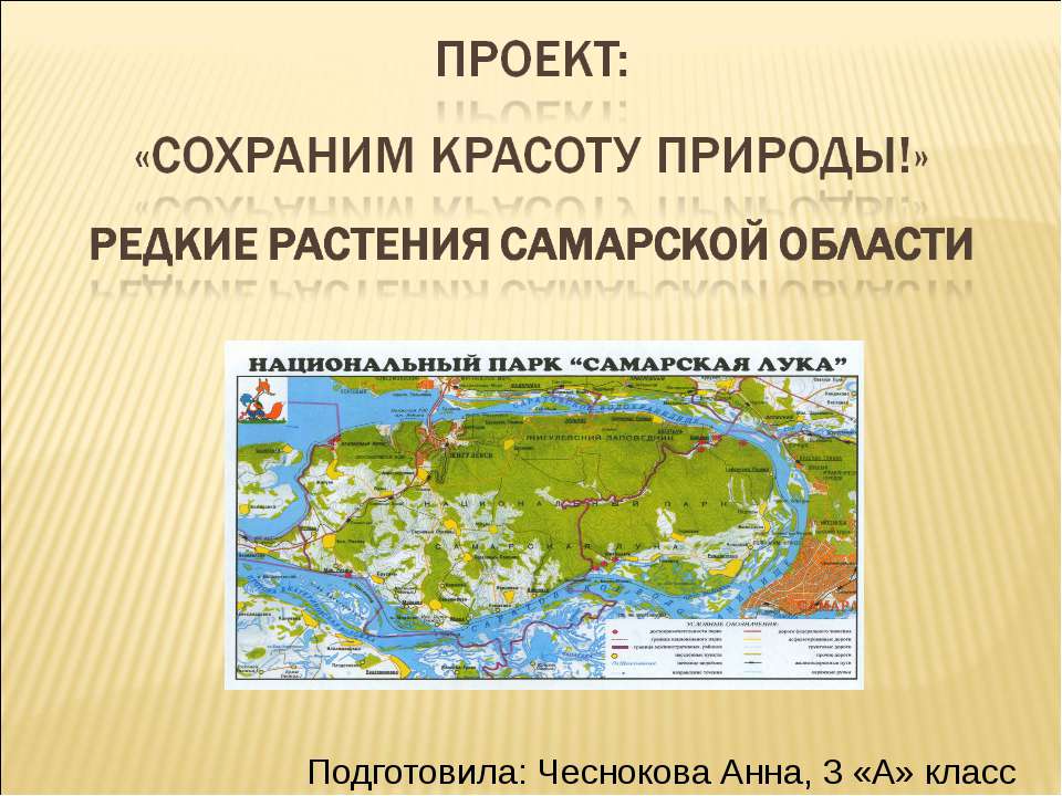 Редкие растения Самарской области  - Скачать презентации бесплатно | Читать или скачать учебники для школы онлайн бесплатно ☑ Школьные учебники school-textbook.com