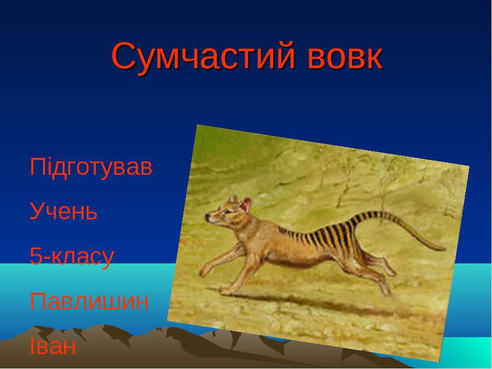 сумчастий вовк - Скачать презентации бесплатно ☑ Презентации по предметам на gdz-books.ru
