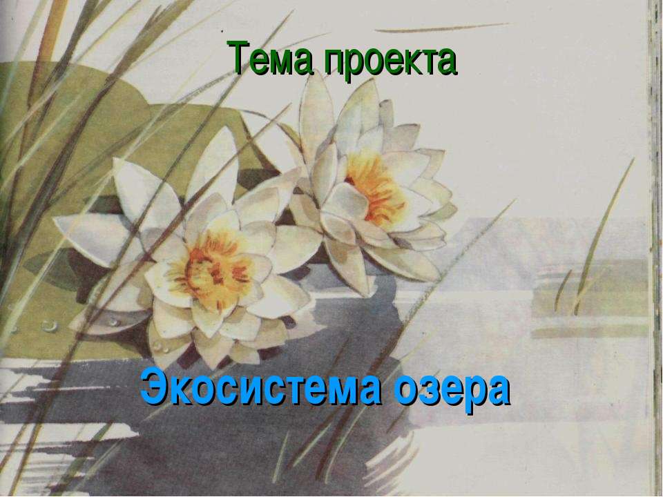 Экосистема озера  - Скачать презентации бесплатно | Читать или скачать учебники для школы онлайн бесплатно ☑ Школьные учебники school-textbook.com