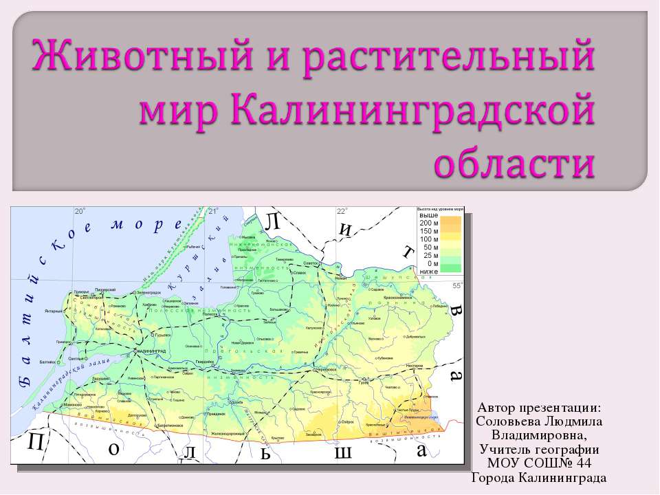 Животный и растительный мир Калининградской области  - Скачать презентации бесплатно | Читать или скачать учебники для школы онлайн бесплатно ☑ Школьные учебники school-textbook.com