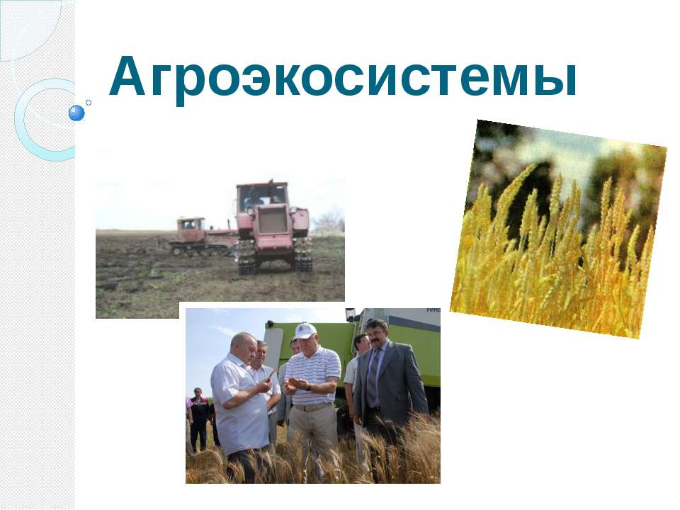 Агроэкосистемы - Скачать презентации бесплатно ☑ Презентации по предметам на gdz-books.ru