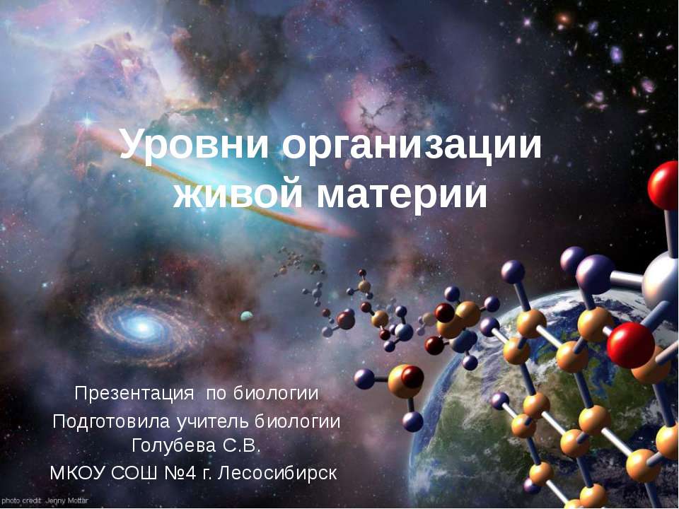 Уровни организации живой материи  - Скачать презентации бесплатно | Читать или скачать учебники для школы онлайн бесплатно ☑ Школьные учебники school-textbook.com