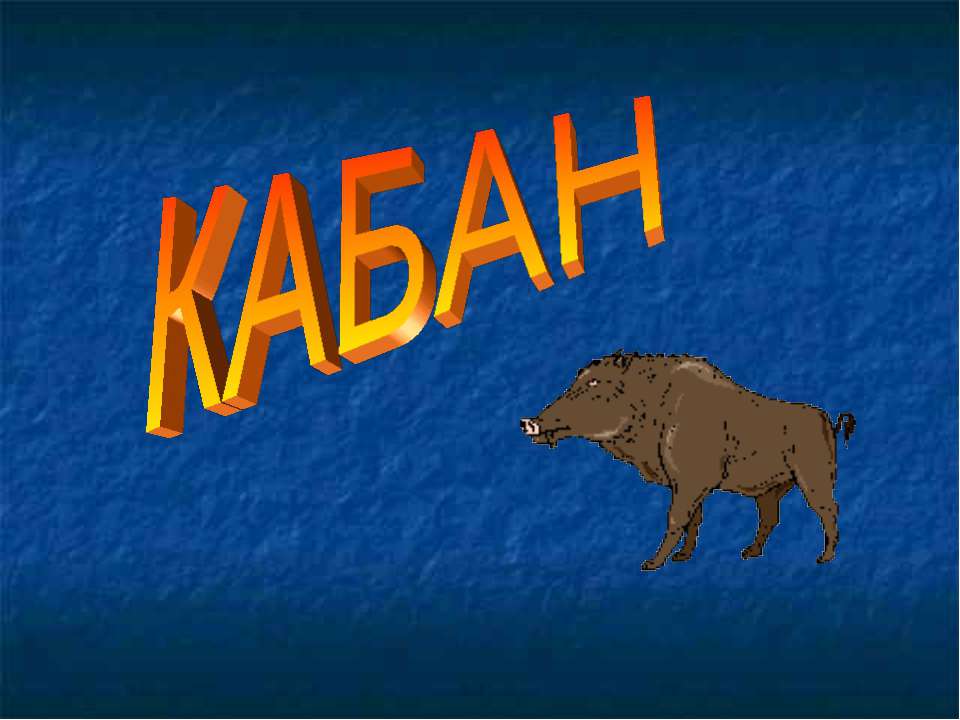 Кабан - Скачать презентации бесплатно ☑ Презентации по предметам на gdz-books.ru
