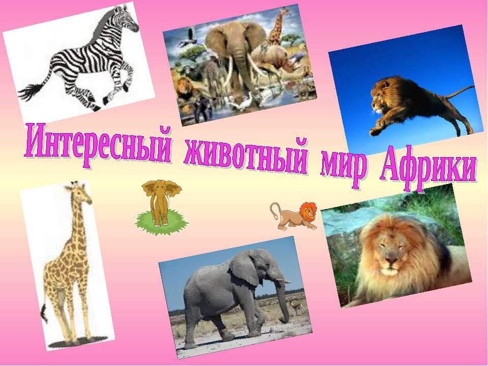 Интересный животный мир Африки  - Скачать презентации бесплатно | Читать или скачать учебники для школы онлайн бесплатно ☑ Школьные учебники school-textbook.com