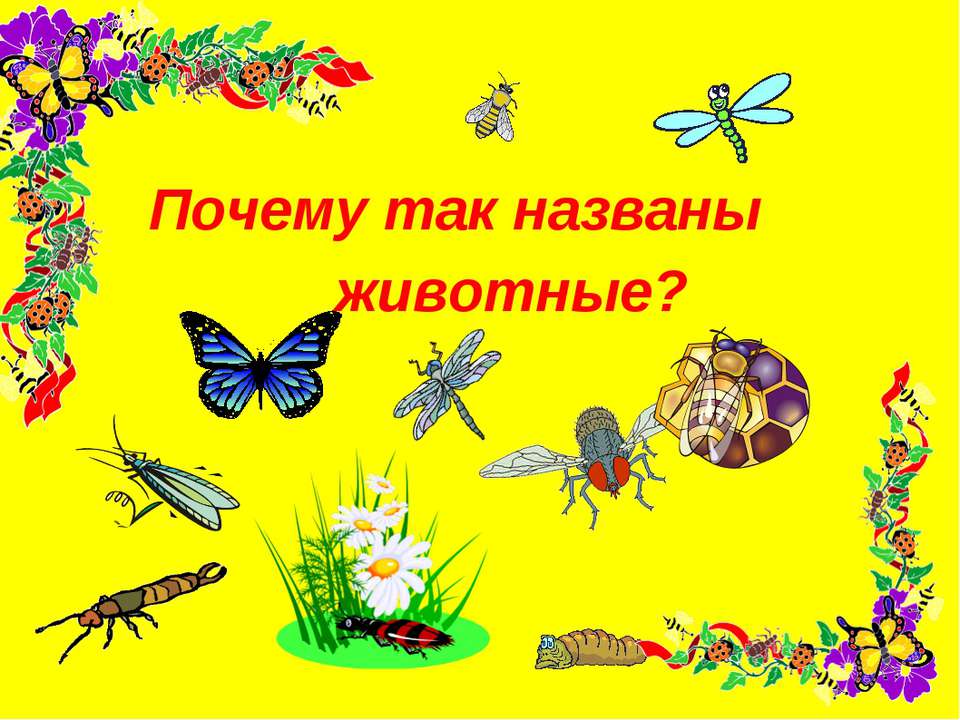 Почему так названы животные?  - Скачать презентации бесплатно | Читать или скачать учебники для школы онлайн бесплатно ☑ Школьные учебники school-textbook.com
