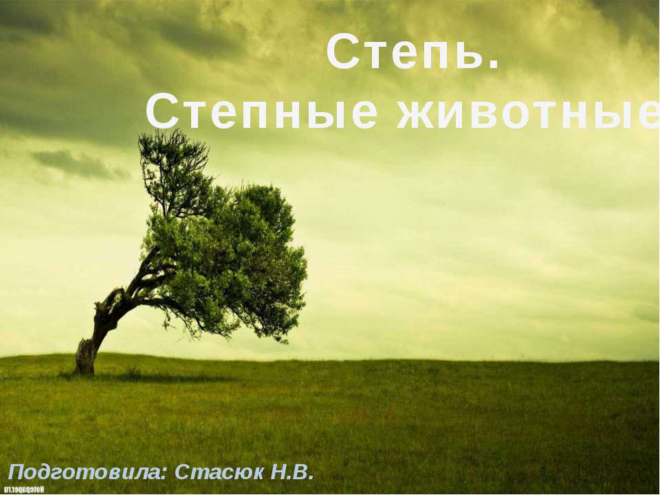 Степь. Степные животные - Скачать презентации бесплатно ☑ Презентации по предметам на gdz-books.ru