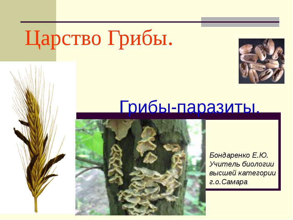 Царство Грибы. Грибы-паразиты  - Скачать презентации бесплатно | Читать или скачать учебники для школы онлайн бесплатно ☑ Школьные учебники school-textbook.com