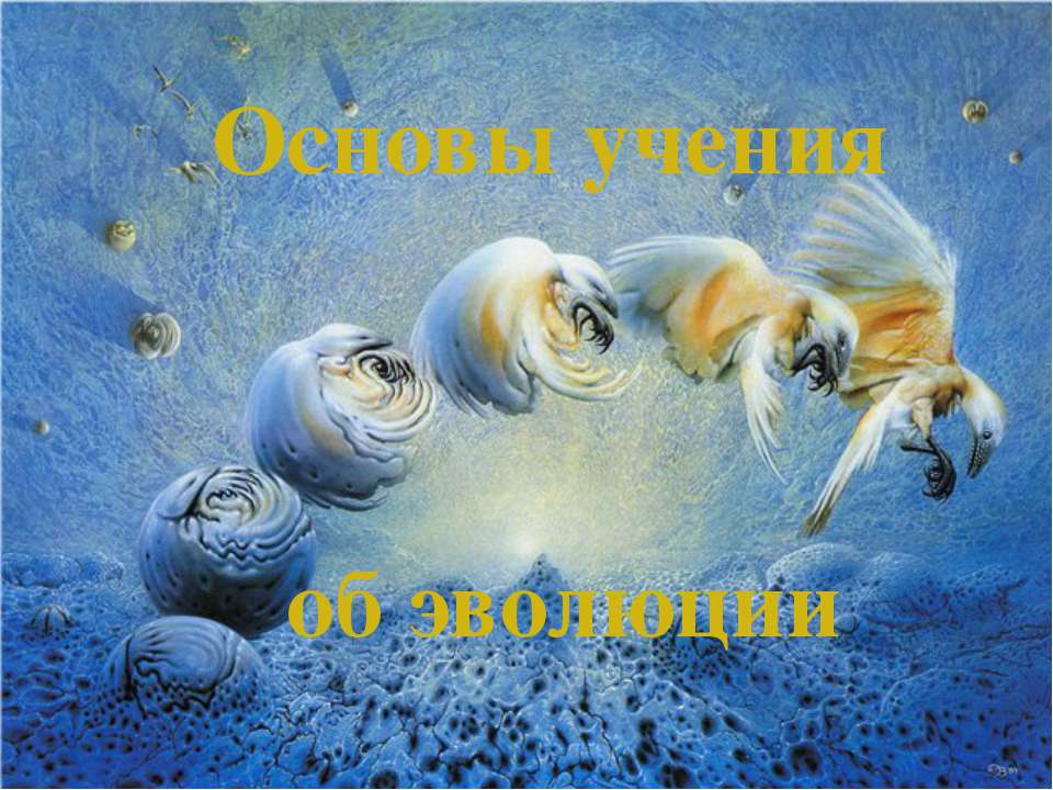 Основы учения об эволюции  - Скачать презентации бесплатно | Читать или скачать учебники для школы онлайн бесплатно ☑ Школьные учебники school-textbook.com