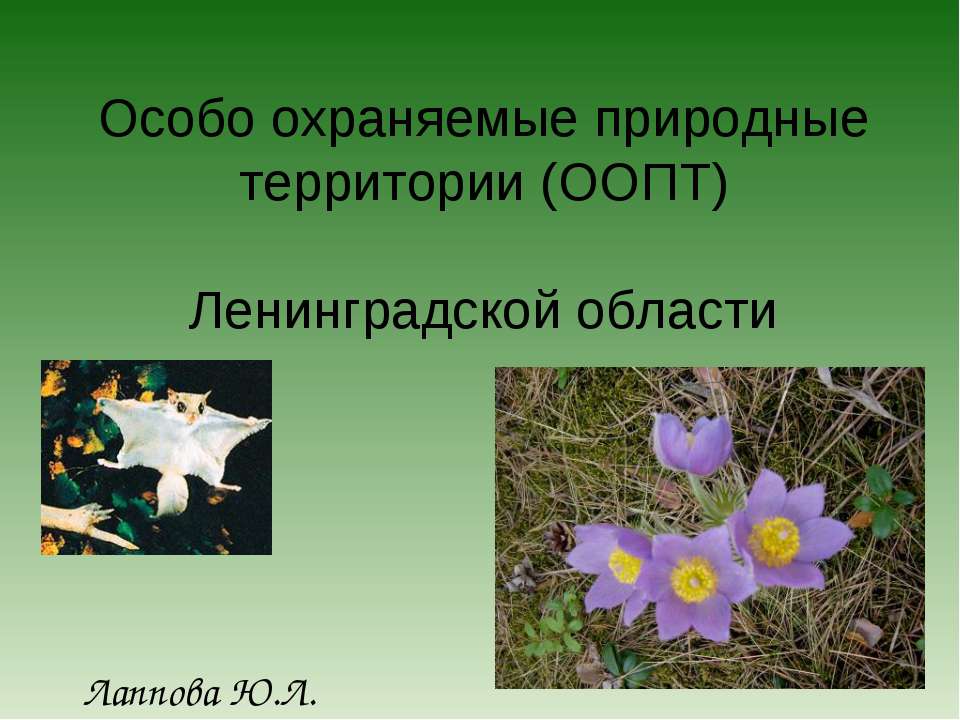 Заповедники и заказники Ленинградской области - Скачать презентации бесплатно ☑ Презентации по предметам на gdz-books.ru