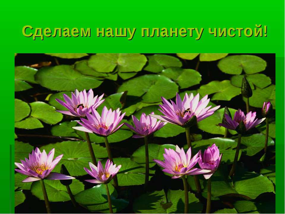 Сделаем нашу планету чистой!  - Скачать презентации бесплатно | Читать или скачать учебники для школы онлайн бесплатно ☑ Школьные учебники school-textbook.com