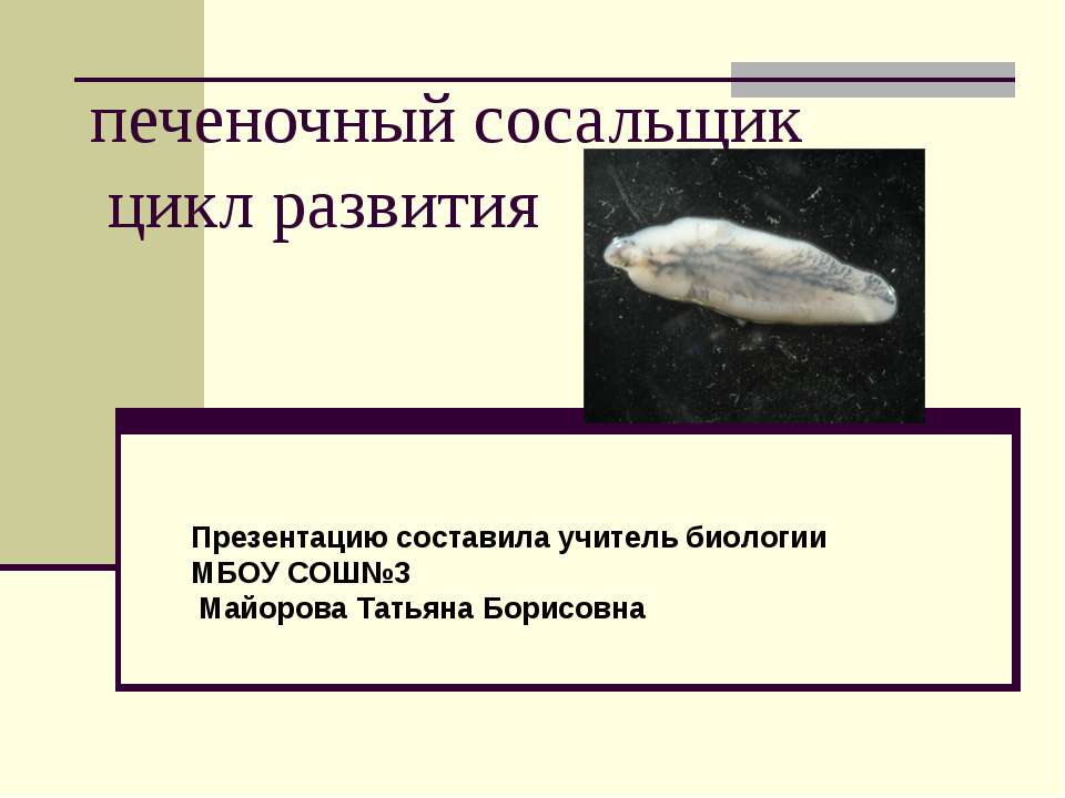 Печеночный сосальщик цикл развития - Скачать презентации бесплатно ☑ Презентации по предметам на gdz-books.ru