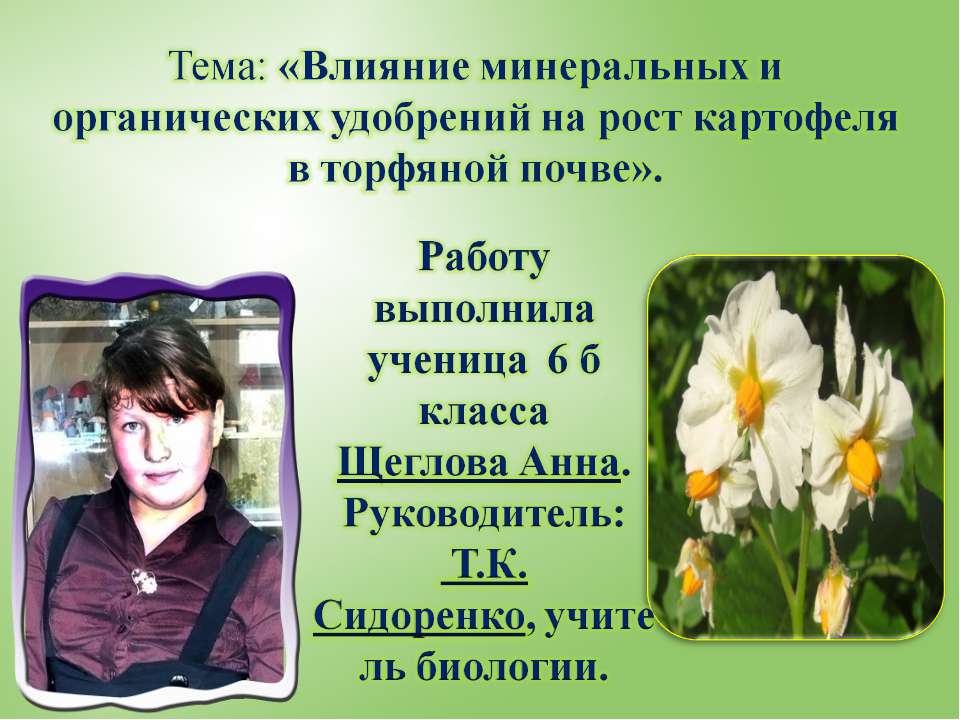 Влияние минеральных и органических удобрений на рост картофеля в торфяной почве  - Скачать презентации бесплатно | Читать или скачать учебники для школы онлайн бесплатно ☑ Школьные учебники school-textbook.com