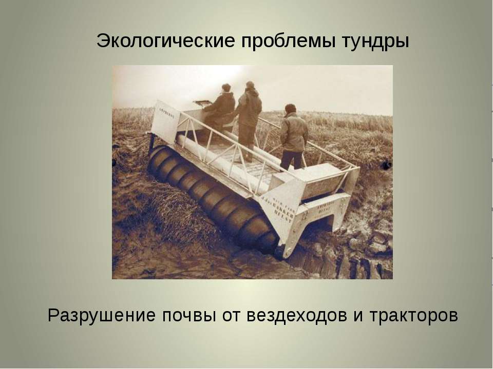 Экологические проблемы тундры  - Скачать презентации бесплатно | Читать или скачать учебники для школы онлайн бесплатно ☑ Школьные учебники school-textbook.com