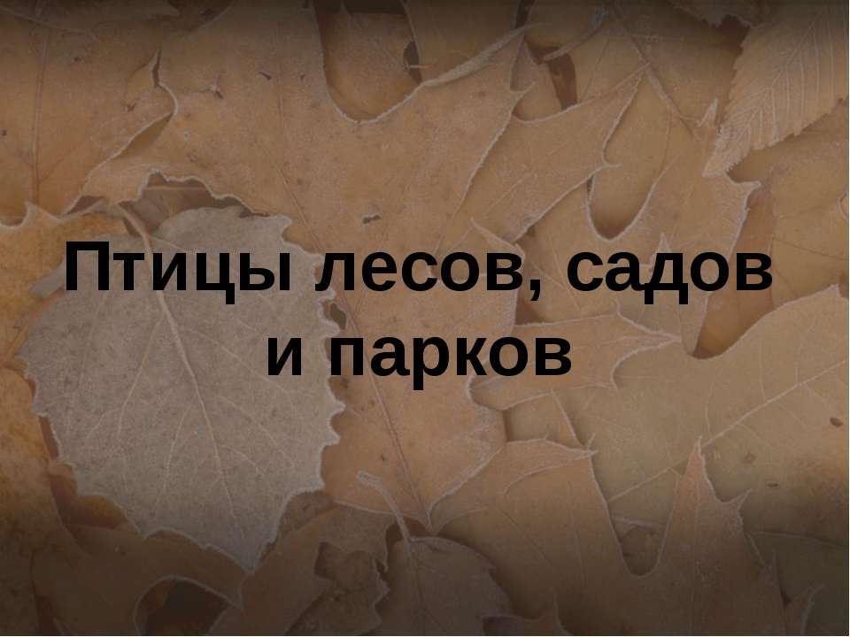 Птицы лесов, садов и парков - Скачать презентации бесплатно ☑ Презентации по предметам на gdz-books.ru