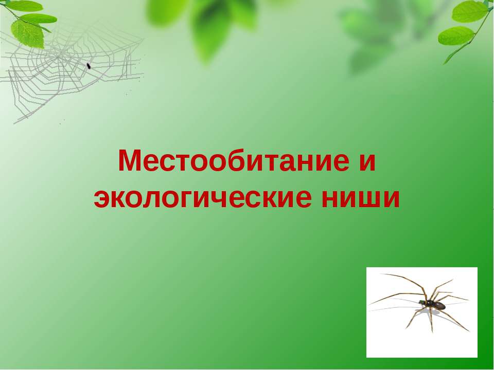 Местообитание и экологические ниши - Скачать презентации бесплатно ☑ Презентации по предметам на gdz-books.ru