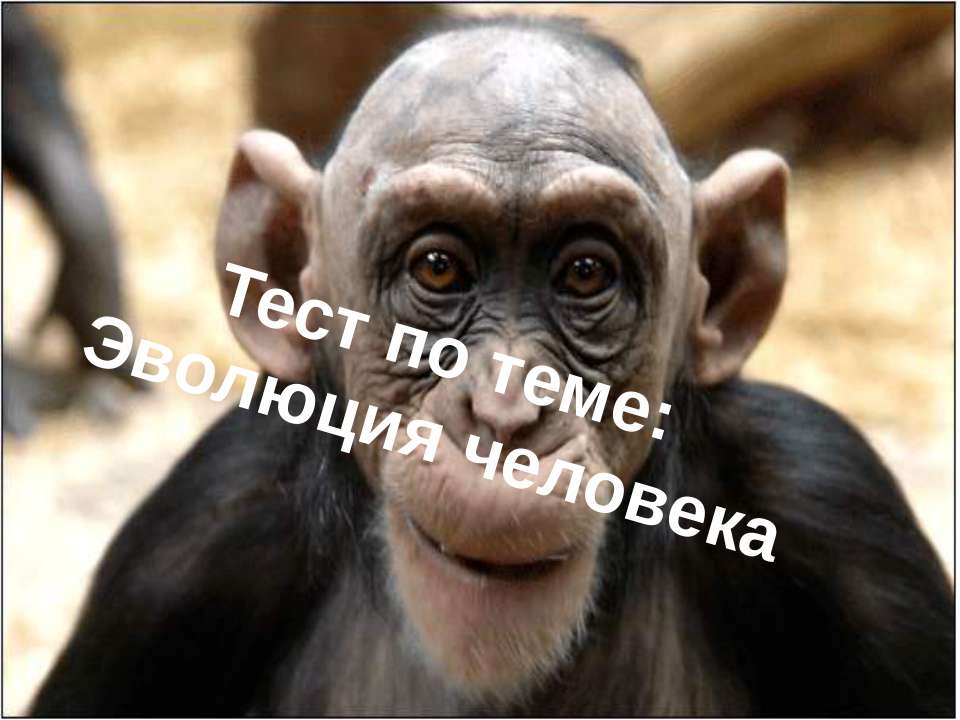 Тест по теме «Эволюция человека»  - Скачать презентации бесплатно | Читать или скачать учебники для школы онлайн бесплатно ☑ Школьные учебники school-textbook.com