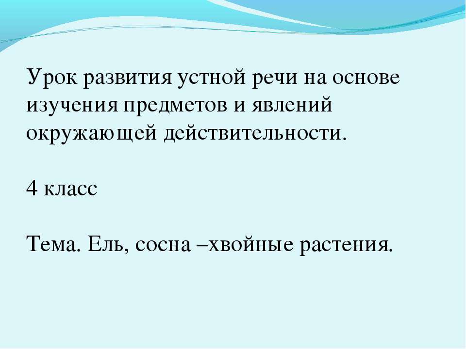 Ель, сосна –хвойные растения  - Скачать презентации бесплатно | Читать или скачать учебники для школы онлайн бесплатно ☑ Школьные учебники school-textbook.com