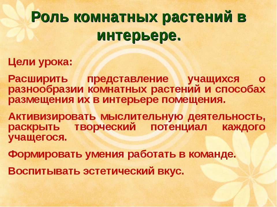 Роль комнатных растений в интерьере  - Скачать презентации бесплатно | Читать или скачать учебники для школы онлайн бесплатно ☑ Школьные учебники school-textbook.com