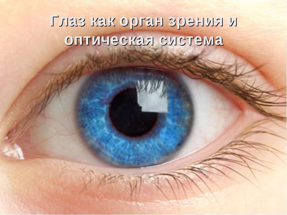 Глаз как орган зрения и оптическая система - Скачать презентации бесплатно ☑ Презентации по предметам на gdz-books.ru