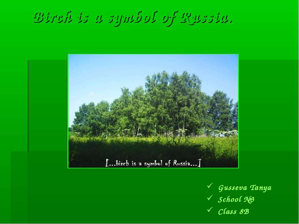 Birch is a symbol of Russia  - Скачать презентации бесплатно | Читать или скачать учебники для школы онлайн бесплатно ☑ Школьные учебники school-textbook.com