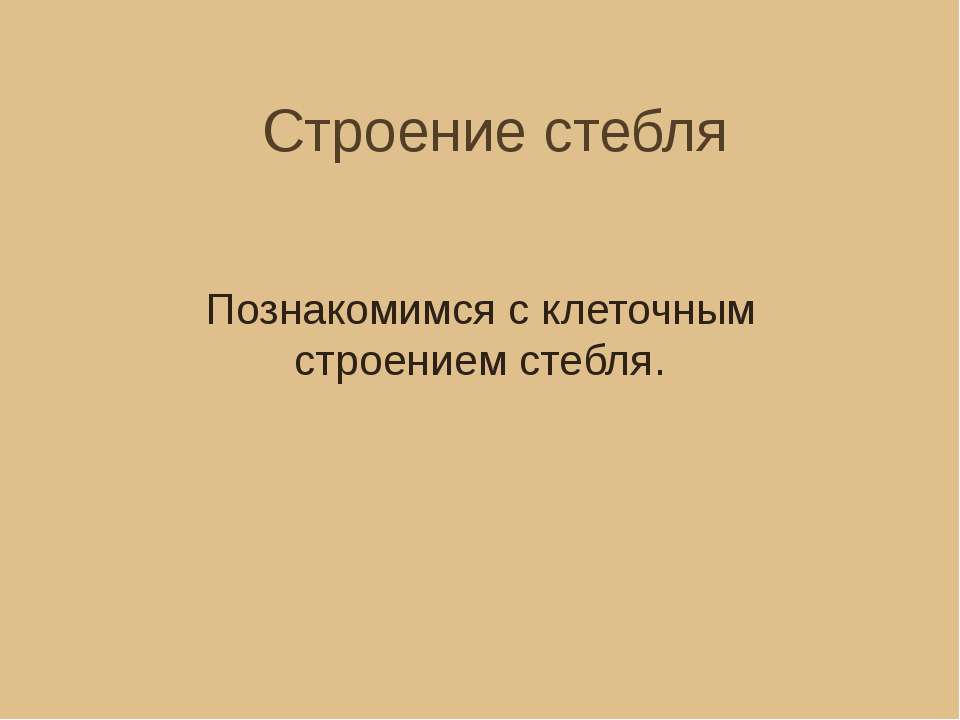 Строение стебля. Познакомимся с клеточным строением стебля - Скачать презентации бесплатно ☑ Презентации по предметам на gdz-books.ru