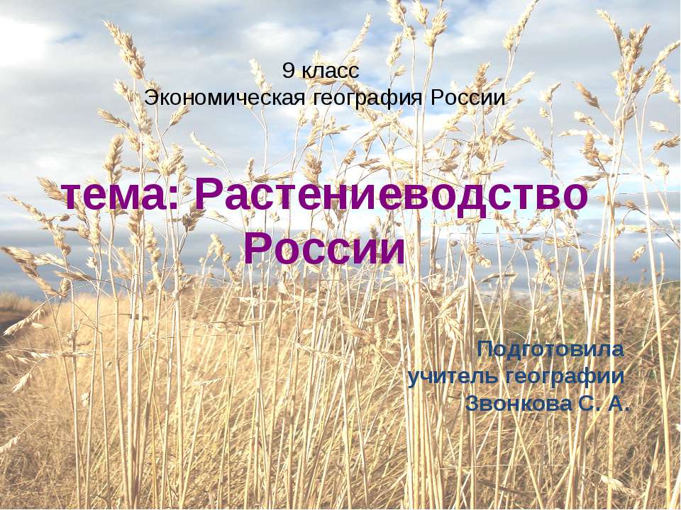 Растениеводство России - Скачать презентации бесплатно ☑ Презентации по предметам на gdz-books.ru