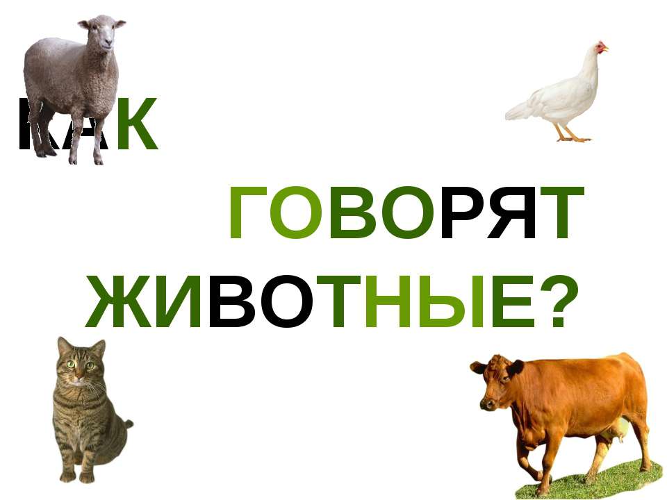 Как говорят животные?  - Скачать презентации бесплатно | Читать или скачать учебники для школы онлайн бесплатно ☑ Школьные учебники school-textbook.com