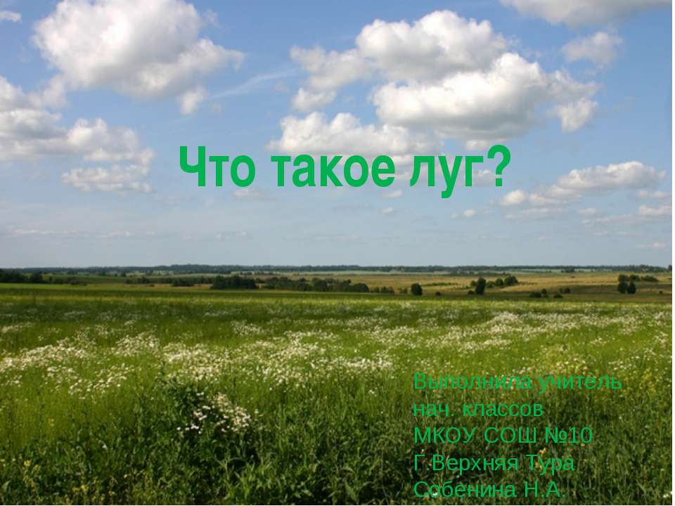 Что такое луг? - Скачать презентации бесплатно ☑ Презентации по предметам на gdz-books.ru