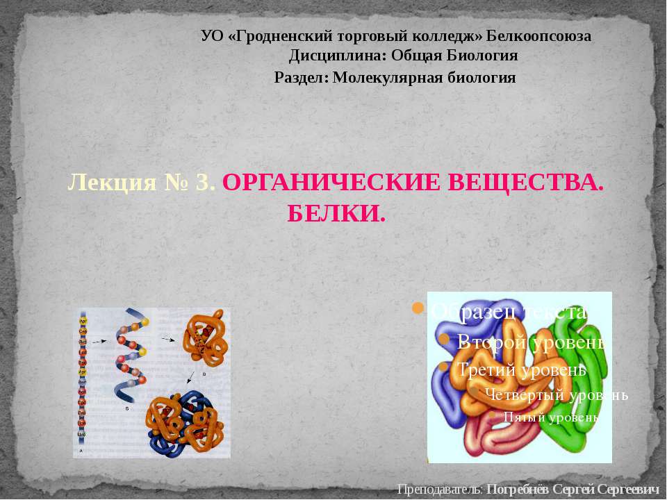 Органические вещества. Белки  - Скачать презентации бесплатно | Читать или скачать учебники для школы онлайн бесплатно ☑ Школьные учебники school-textbook.com