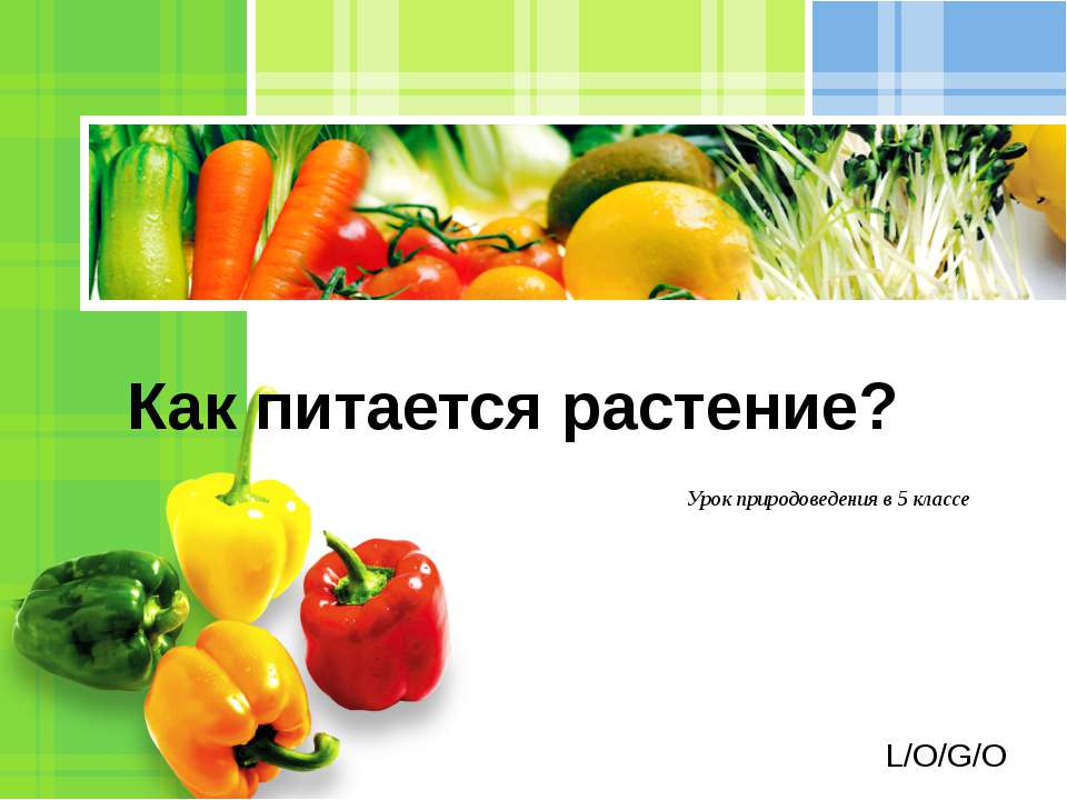 Как питается растение? 5 класс - Скачать презентации бесплатно ☑ Презентации по предметам на gdz-books.ru