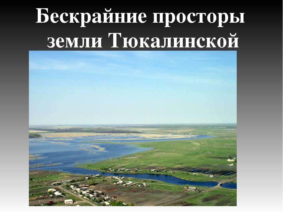 Бескрайние просторы земли Тюкалинской - Скачать презентации бесплатно ☑ Презентации по предметам на gdz-books.ru