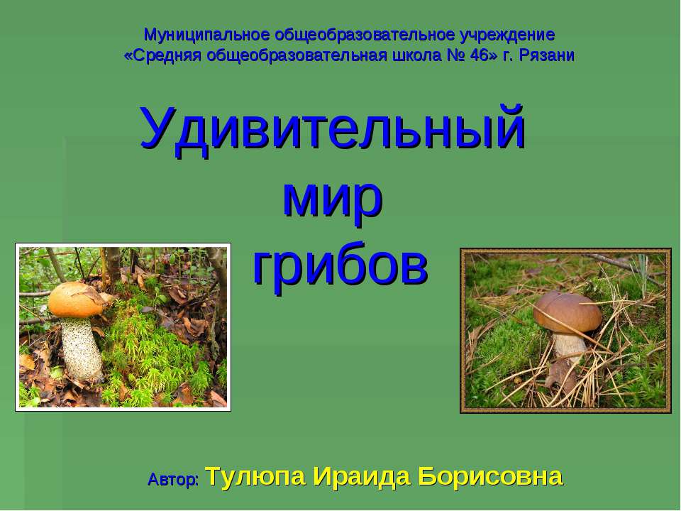 Удивительный мир грибов - Скачать презентации бесплатно ☑ Презентации по предметам на gdz-books.ru