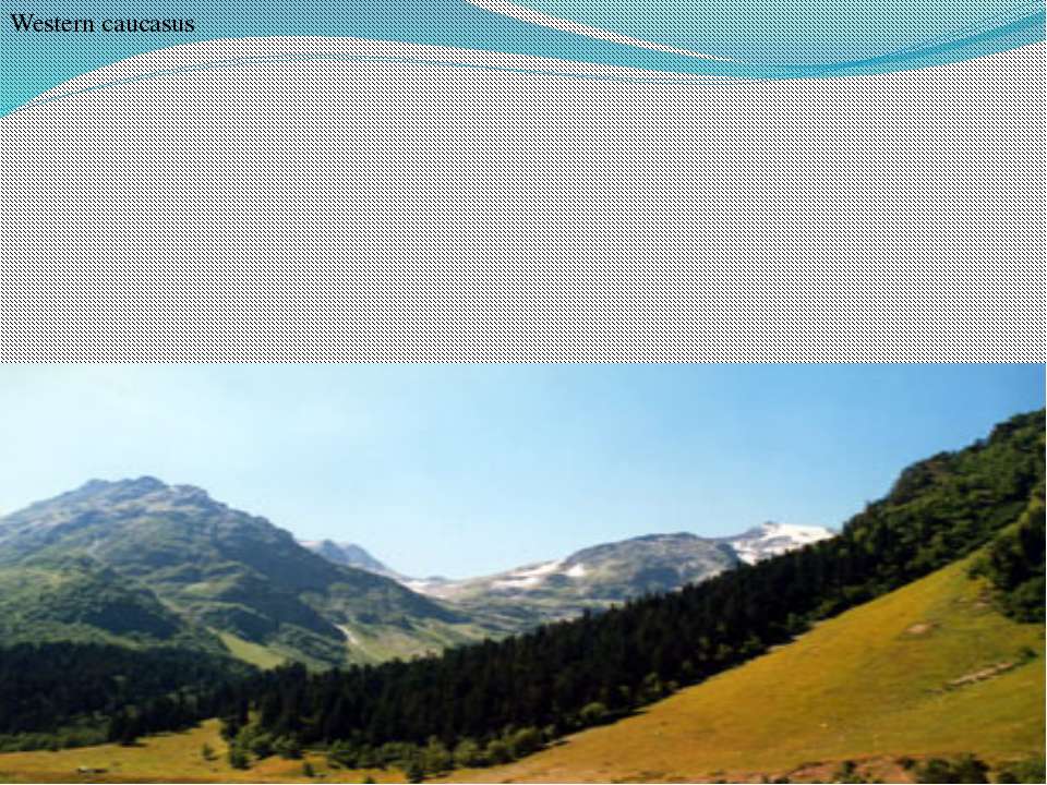 Western caucasus - Скачать презентации бесплатно ☑ Презентации по предметам на gdz-books.ru