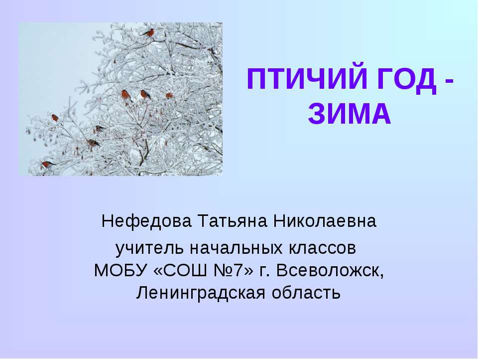 Птичий год - зима  - Скачать презентации бесплатно | Читать или скачать учебники для школы онлайн бесплатно ☑ Школьные учебники school-textbook.com