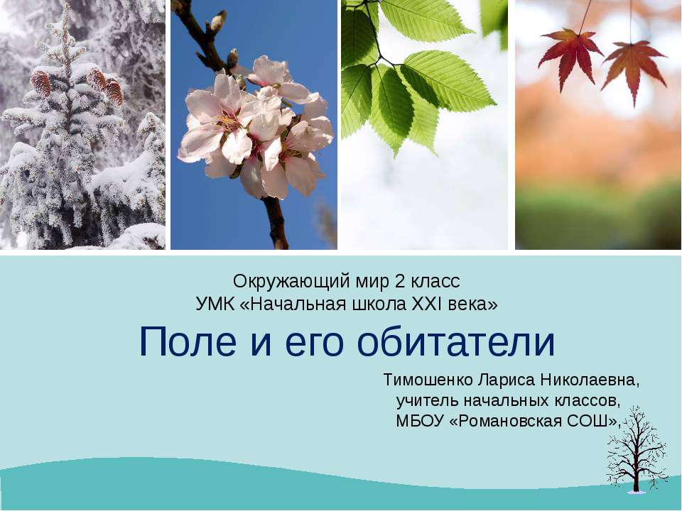 Поле и его обитатели  - Скачать презентации бесплатно | Читать или скачать учебники для школы онлайн бесплатно ☑ Школьные учебники school-textbook.com