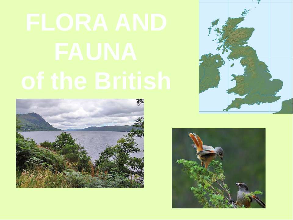 Flora and fauna of the British Isles  - Скачать презентации бесплатно | Читать или скачать учебники для школы онлайн бесплатно ☑ Школьные учебники school-textbook.com
