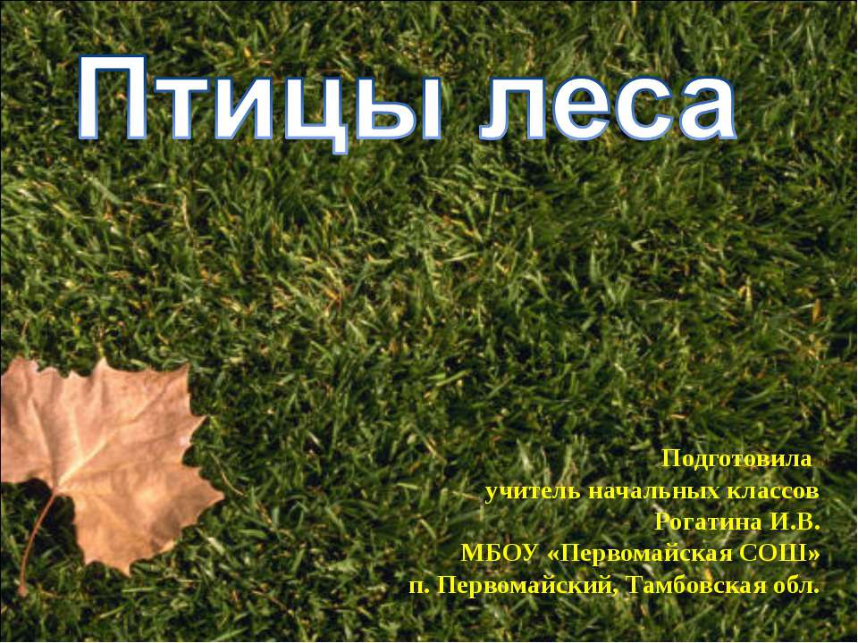 Птицы леса - Скачать презентации бесплатно ☑ Презентации по предметам на gdz-books.ru