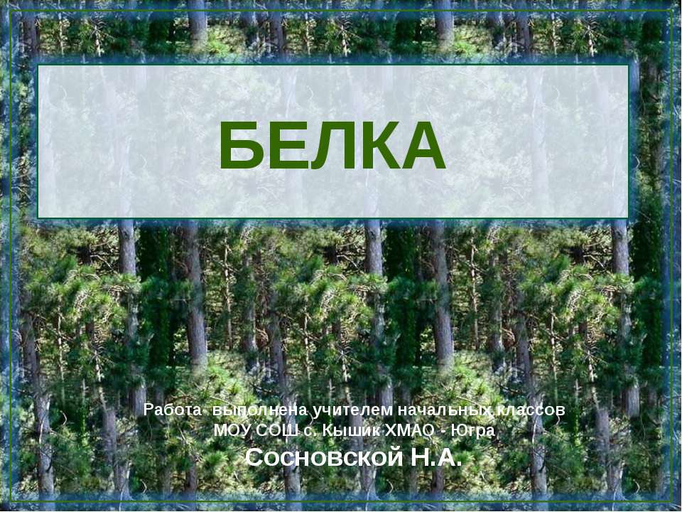 Белка  - Скачать презентации бесплатно | Читать или скачать учебники для школы онлайн бесплатно ☑ Школьные учебники school-textbook.com