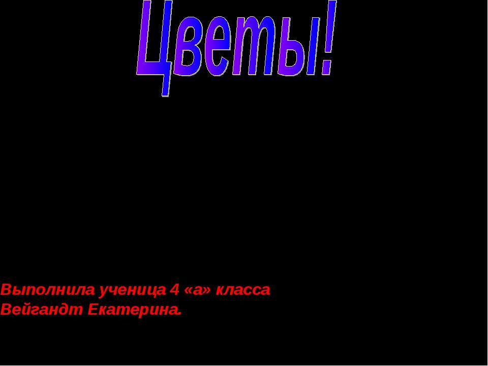 Цветы!  - Скачать презентации бесплатно | Читать или скачать учебники для школы онлайн бесплатно ☑ Школьные учебники school-textbook.com