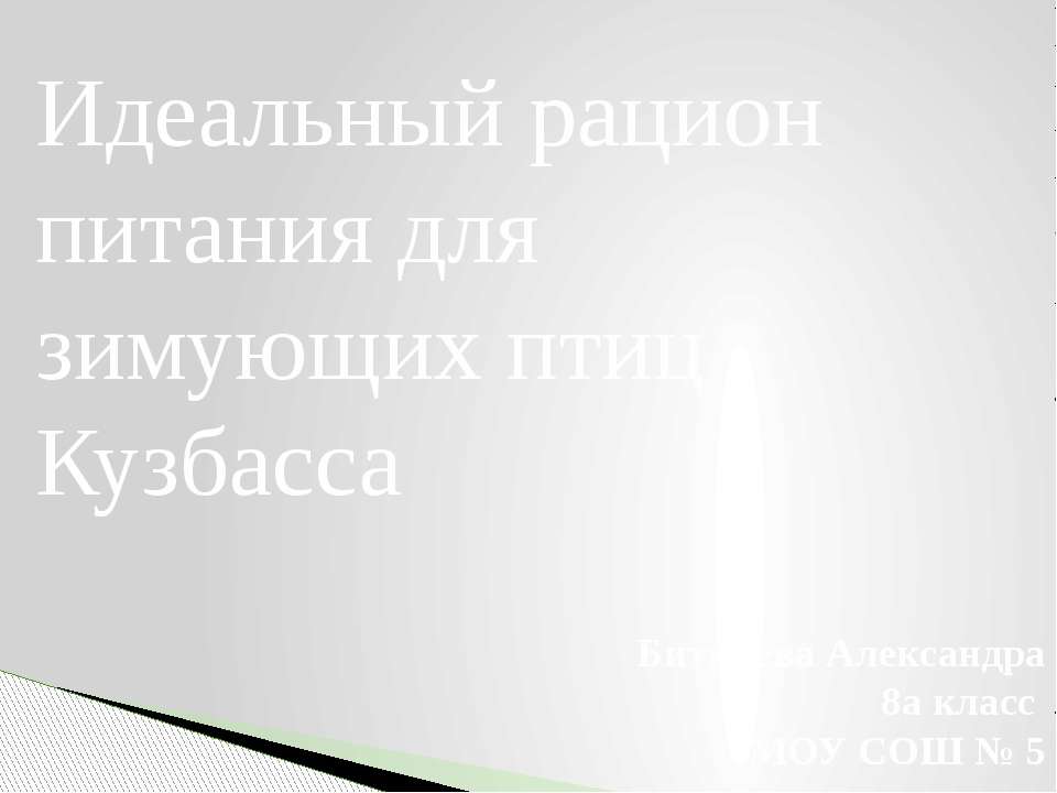 Идеальный рацион питания для зимующих птиц Кузбасса  - Скачать презентации бесплатно | Читать или скачать учебники для школы онлайн бесплатно ☑ Школьные учебники school-textbook.com