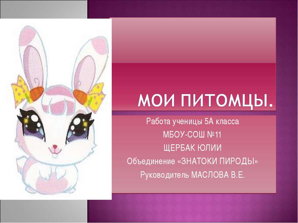 Мои питомцы - Скачать презентации бесплатно ☑ Презентации по предметам на gdz-books.ru