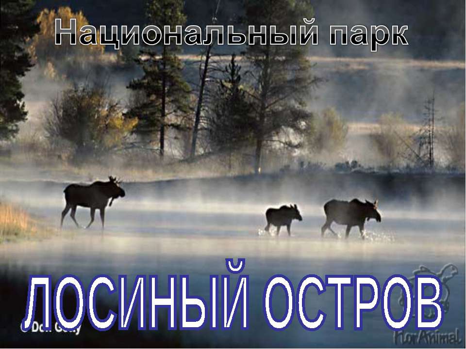 Лосиный остров - Скачать презентации бесплатно ☑ Презентации по предметам на gdz-books.ru