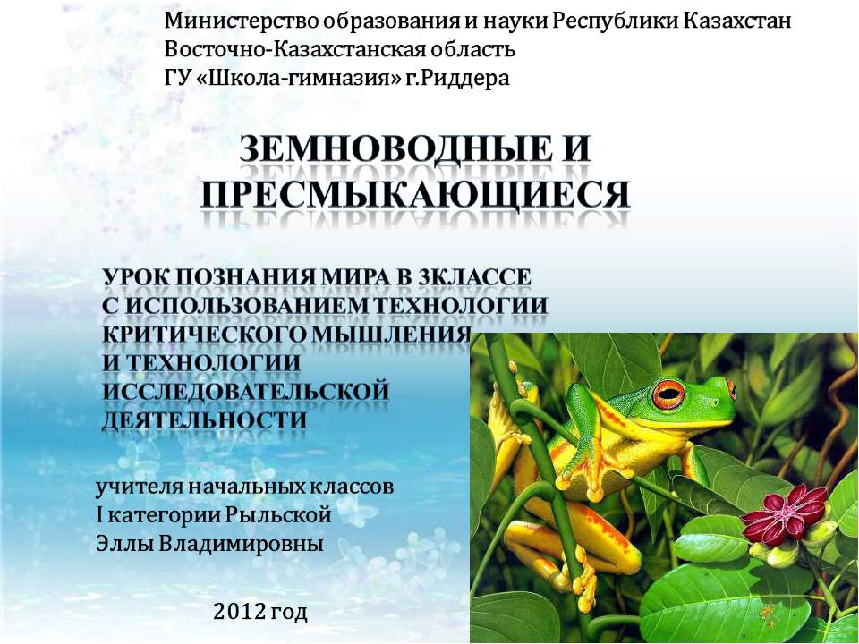 Земноводные и пресмыкающиеся  - Скачать презентации бесплатно | Читать или скачать учебники для школы онлайн бесплатно ☑ Школьные учебники school-textbook.com