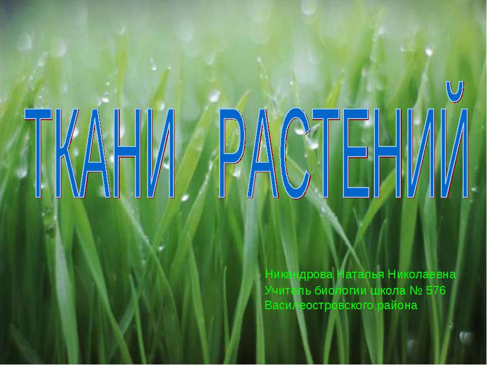 Ткани растений  - Скачать презентации бесплатно | Читать или скачать учебники для школы онлайн бесплатно ☑ Школьные учебники school-textbook.com