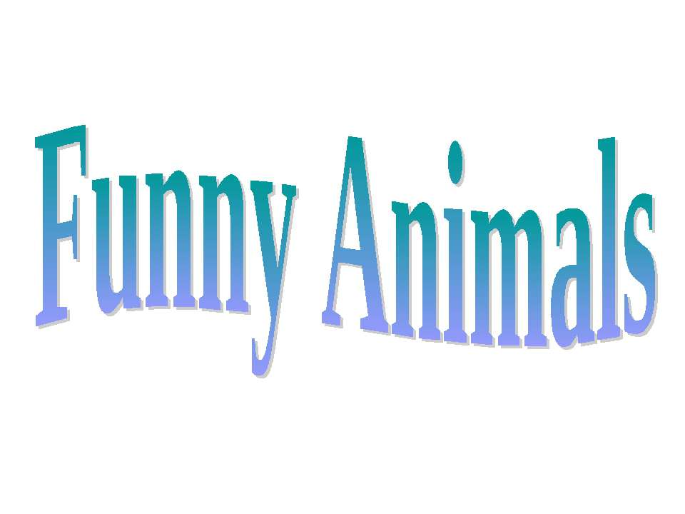 Funny animals - Скачать презентации бесплатно ☑ Презентации по предметам на gdz-books.ru