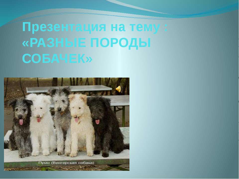 Породы собак  - Скачать презентации бесплатно | Читать или скачать учебники для школы онлайн бесплатно ☑ Школьные учебники school-textbook.com