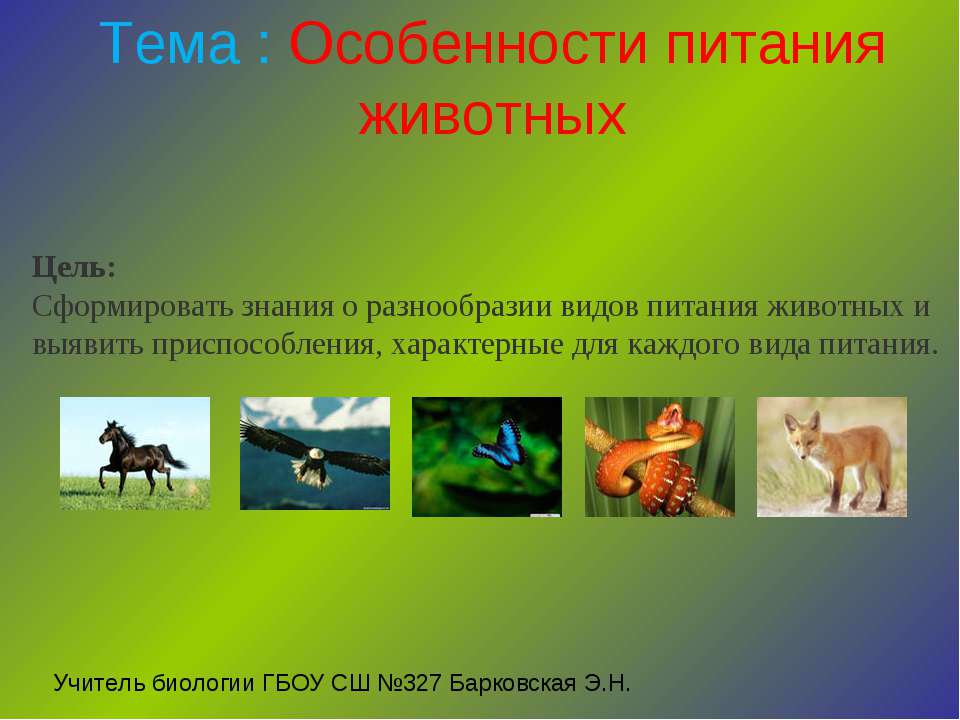 Особенности питания животных  - Скачать презентации бесплатно | Читать или скачать учебники для школы онлайн бесплатно ☑ Школьные учебники school-textbook.com