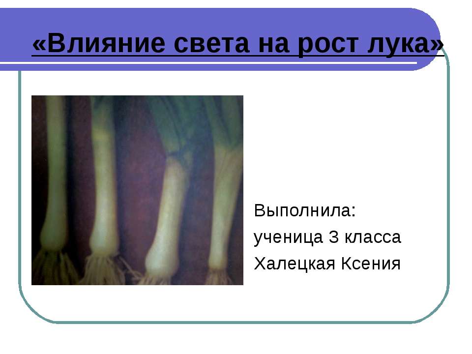 Влияние света на рост лука  - Скачать презентации бесплатно | Читать или скачать учебники для школы онлайн бесплатно ☑ Школьные учебники school-textbook.com