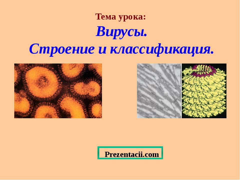Вирусы. Строение и классификация - Скачать презентации бесплатно ☑ Презентации по предметам на gdz-books.ru